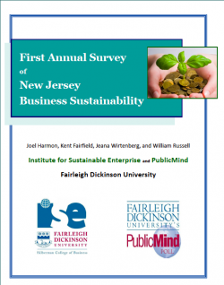 images-stories-report cover-250x318